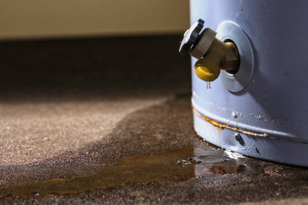 Best Flooded house restoration  in San Antonio, FL