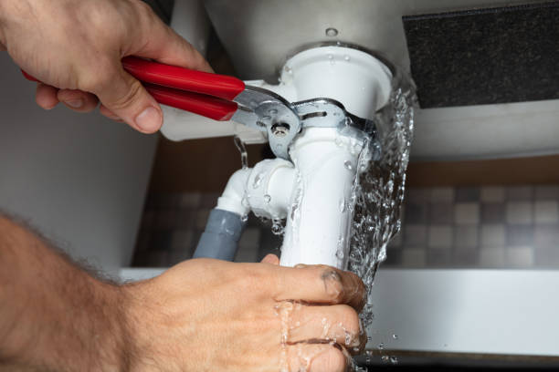 Best Flood restoration services  in San Antonio, FL