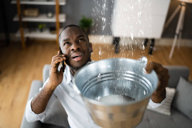 Best 24/7 water damage repair  in San Antonio, FL