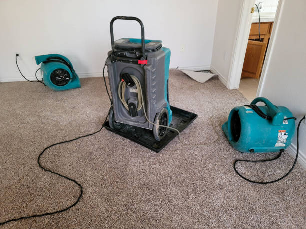 Best Sewage cleanup and water damage restoration  in San Antonio, FL