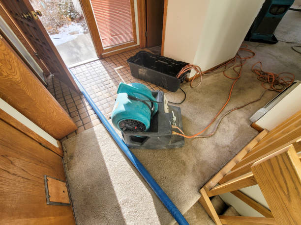 Best Ceiling water damage repair  in San Antonio, FL