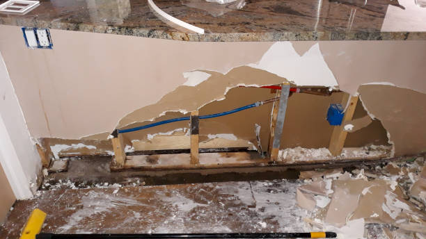 Best Carpet water damage restoration  in San Antonio, FL