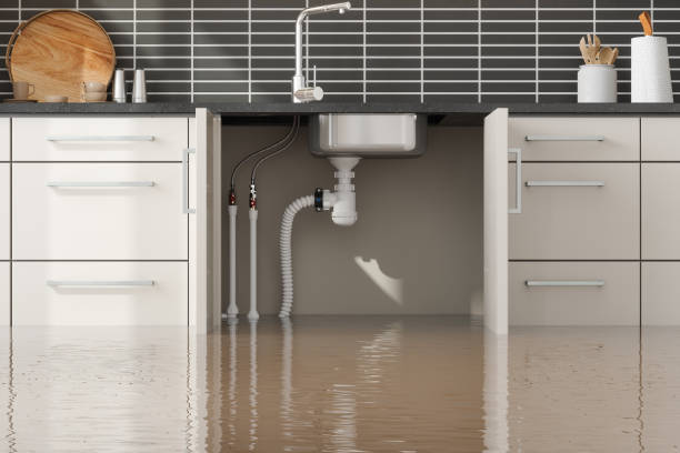 Best Water damage contractors near me  in San Antonio, FL